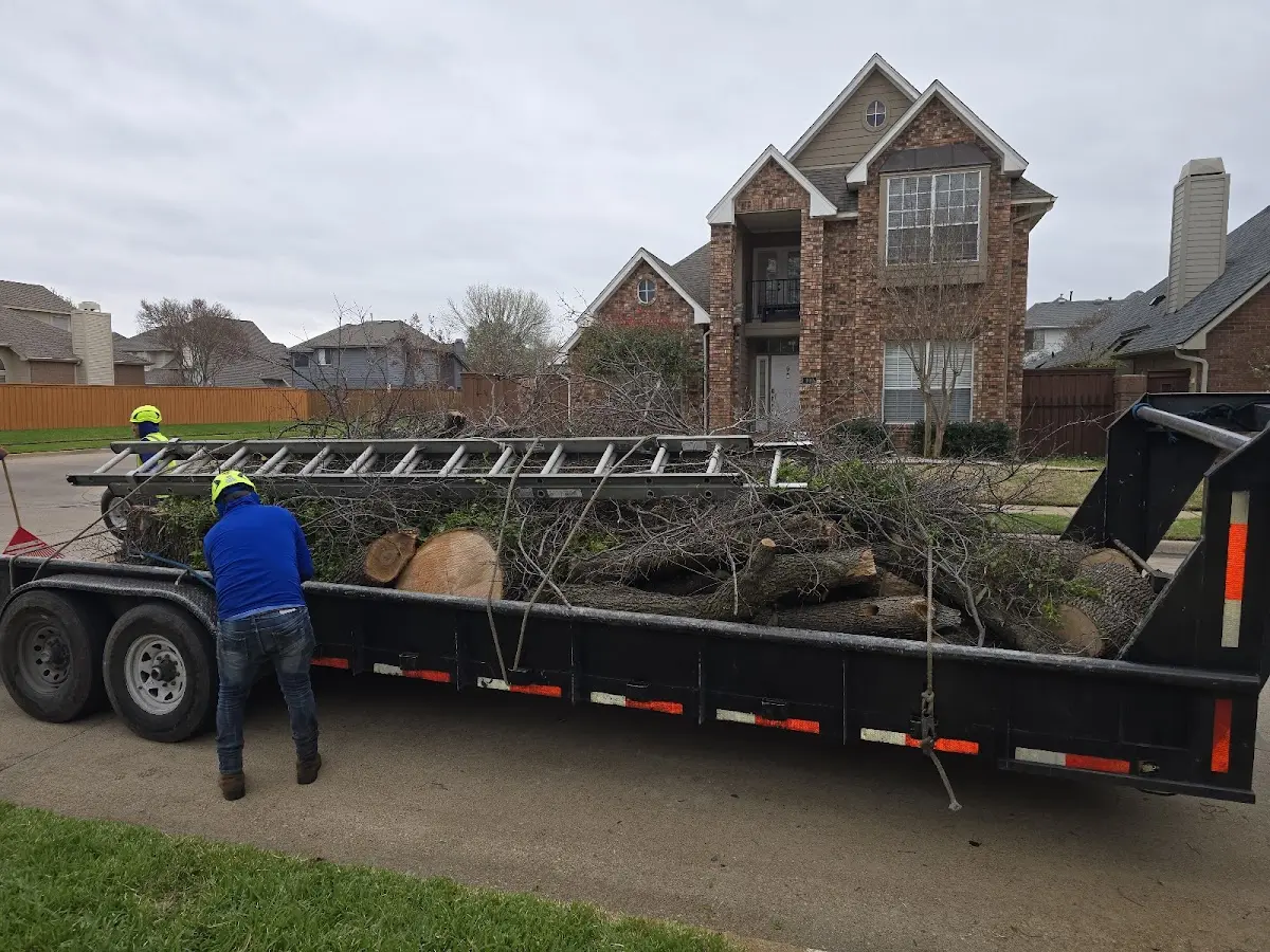 Expert Tree Fertilization with proper safety equipment in Pinnacle